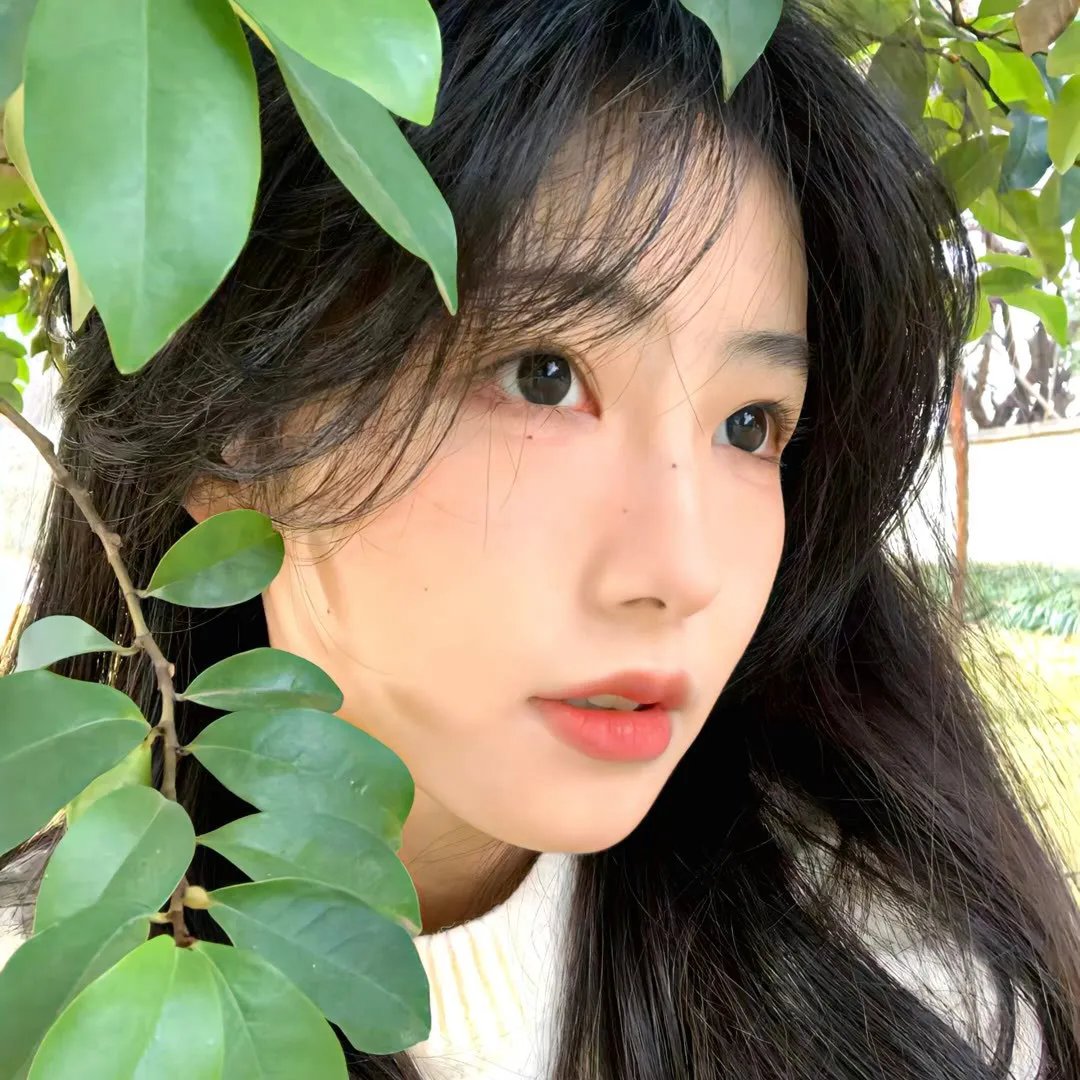 黄河浪